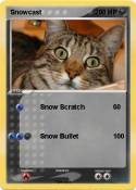 Snowcast