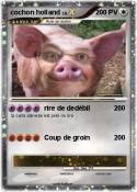 cochon holland