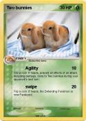 Two bunnies