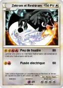 Zekrom et