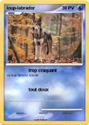 loup-labrador