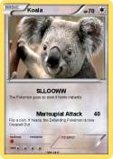 Koala