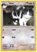 kitten
