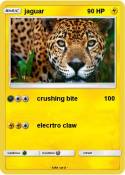jaguar