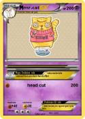 mr.cat
