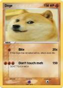 Doge