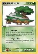 TORTERRA niv.51