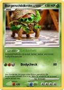 Burgerschildkrö