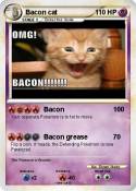 Bacon cat