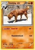 cheetdog .EX