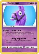 THE LLAMA