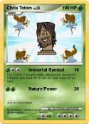 Chris Totem