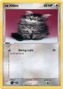 mr.Kitten