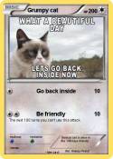 Grumpy cat