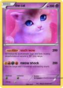 the cat