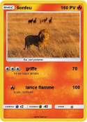 lionfeu