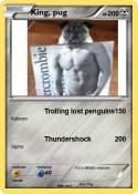 King, pug