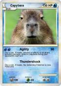 Capybara