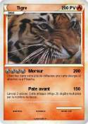 Tigre
