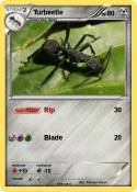 Turbeetle