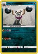 pug of pugness