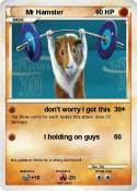 Mr Hamster