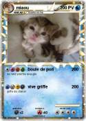 miaou