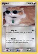 el gatci