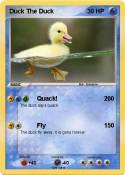 Duck The Duck