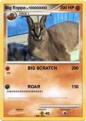Big floppa