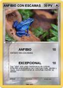 ANFIBIO CON