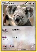 koala