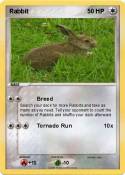 Rabbit
