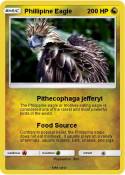 Phillipine Eagl
