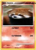 RED PANDA