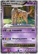 dog and cheetah