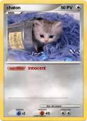 chaton