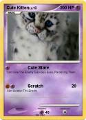 Cute Kitten