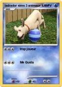 ladrador sims 3