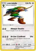 Link Adulte
