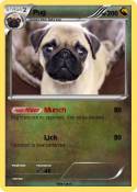 Pug