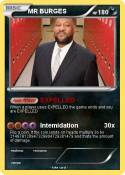 MR BURGES