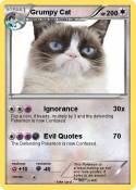 Grumpy Cat