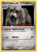 THE PITBULL