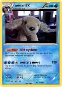 wester EX