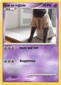 chat en h@bile