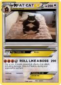 FAT CAT