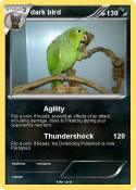 dark bird