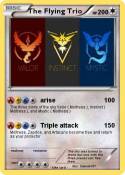 The Flying Trio
