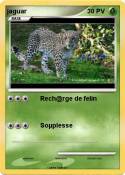 jaguar